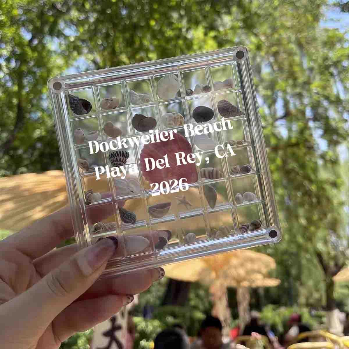 Personalized Acrylic Storage Organizer Case, Seashell Holder Display Collection Box, Mini Container for Seaglass Crystals Diamond Beads
