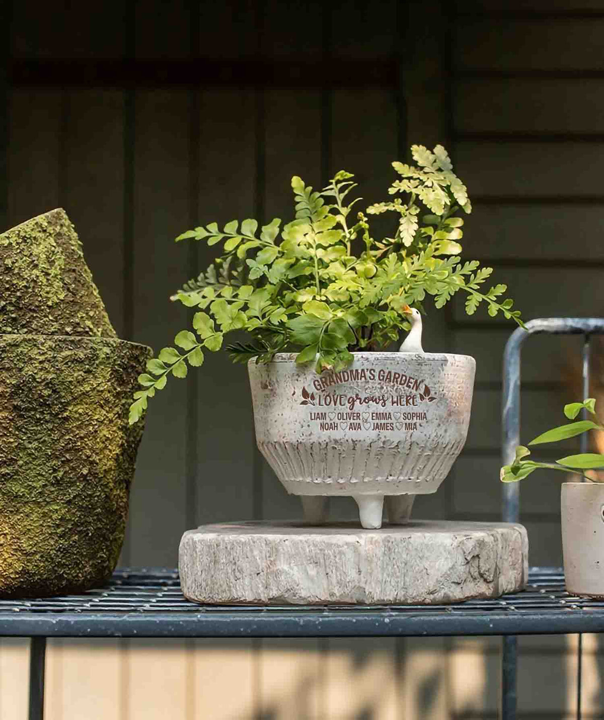 Personalized Engraved Terracotta Distressed Flower Pot, Vintage Style Handmade Clay Planter with Drainage Holes, Gift for Grandma Grandpa