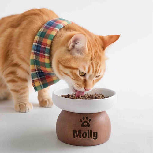 Personalized Engraved Name Ceramic Dog/Cat or Small Breeds Pet Bowl with Wood Stand. Food and Water Feeding Dish with Elevated Base